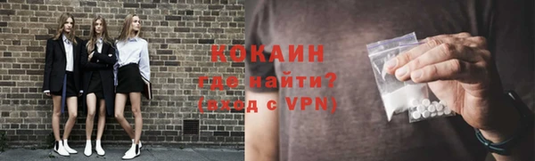 крисы Армянск