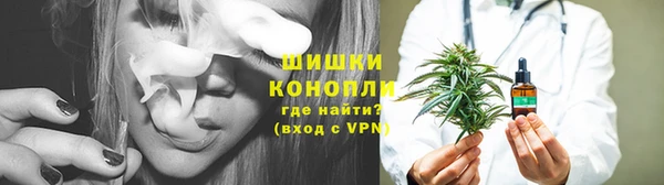 крисы Армянск