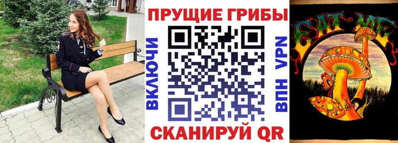 Купить  Белоусово  Галлюциногенные грибы Cubensis 
